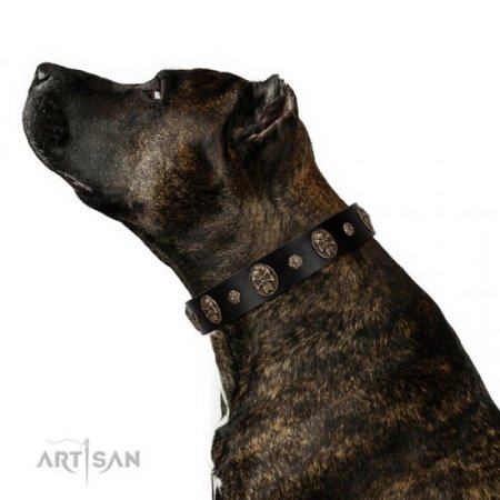 "Pirate's Spell" FDT Artisan Stylish Black Leather Dog Collar With Studs