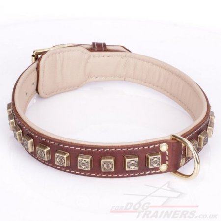 "Cube" Tough Brown Leather Dog Collars UK With Decorations