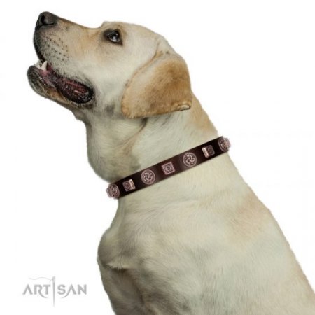 Brown Leather Dog ID Collar | Studded Buckle Dog Collar FDT Artisan