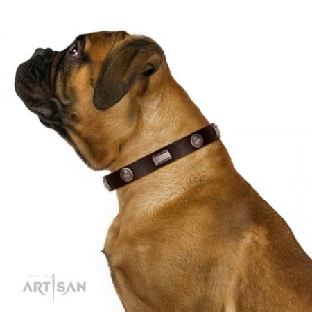 Pretty Brown Dog Collar For Dog’s Safe Walking FDT Artisan