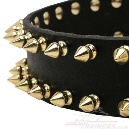 Genuine Leather Gold Spiked Dog Collar for Siberian Husky