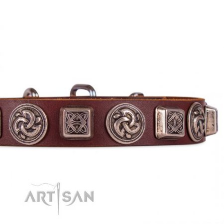 Brown Leather Dog ID Collar | Studded Buckle Dog Collar FDT Artisan