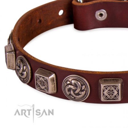 Brown Leather Dog ID Collar | Studded Buckle Dog Collar FDT Artisan