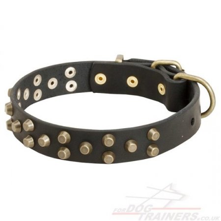 Siberian Husky Dog Collar with Brass Buckle and Studs