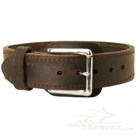 Husky Dog Collar with Control Handle