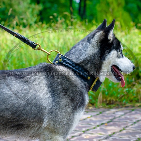 Braided 2 Ply Leather Dog Collar for Siberian Husky