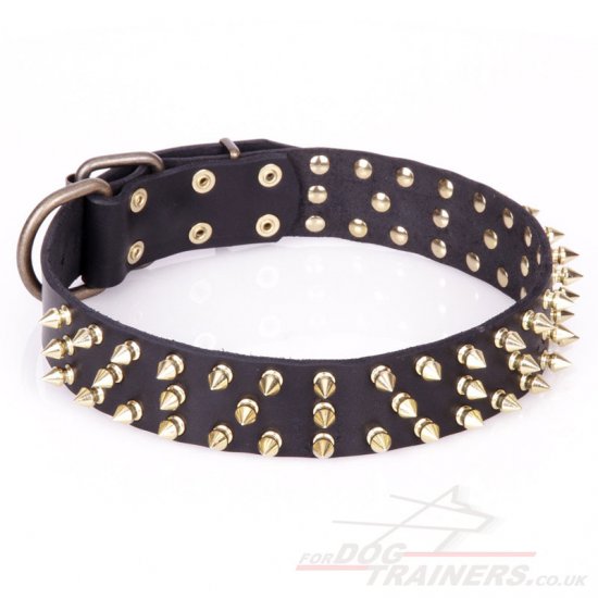 Smart Black Leather Dog Collar with Brass Spikes