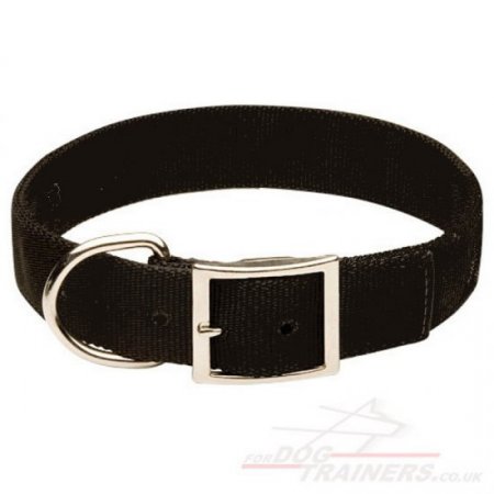 Siberian Husky Dog Collar in Nylon with Metal Belt Buckle