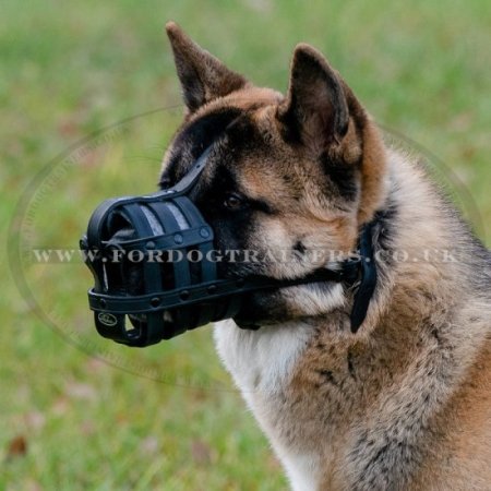 The Best Dog Muzzle for Akita Inu Dog Muzzle Size