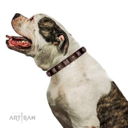 Brown Studded Dog Collar | Leather Dog Collar Metal Buckle FDT Artisan