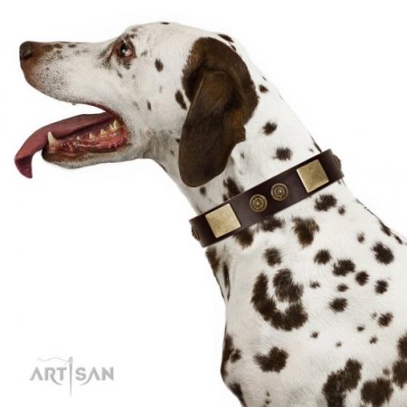 "Bow-Wow Effect" FDT Artisan Brown Leather Dog Collar With Old Bronze-Like Adornment