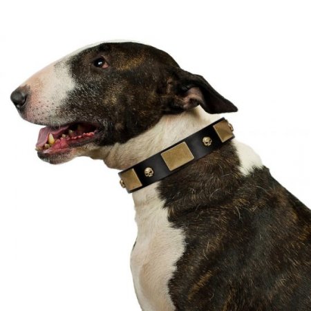 "Black Corsair" Stunning Black Leather Dog Collar With Studs FDT Artisan