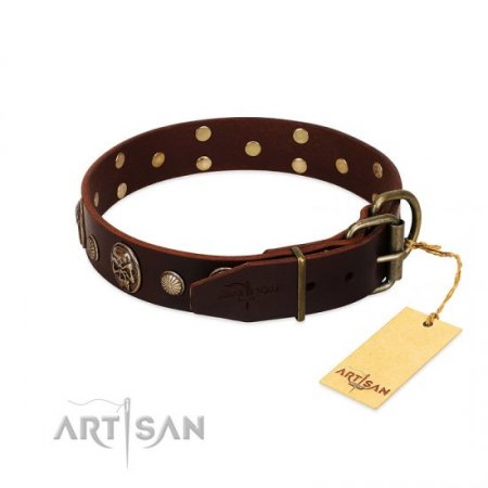 "Snazzy Paws" Elegant Brown Leather Dog Collar With Skulls FDT Artisan