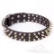 Smart Black Leather Dog Collar with Brass Spikes