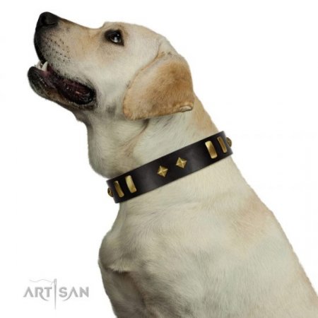 "De Luxe" Soft Black Leather Dog Collar With Brass Decorations FDT Artisan