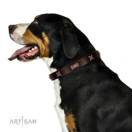 Advanced! Brown Leather Collar For Dog FDT Artisan Fashionable Design