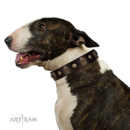 "Snazzy Paws" Elegant Brown Leather Dog Collar With Skulls FDT Artisan