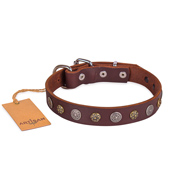 Extraordinary Soft Brown Leather Dog Collar Adorned With Glossy Studs