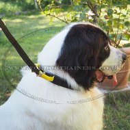 Extra Strong Nylon St Bernard Dog Collar with Control Handle