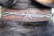 Designer Dog Collars for Swiss Mountain Dogs with Hand-Painting