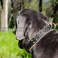 Designer Dog Collar with Spikes | Blue Neapolitan Mastiff Collar