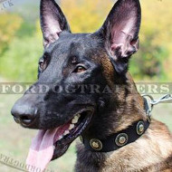 New Dog Collars, Strong Nylon | Belgian Shepherd Malinois Collar