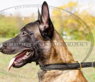 Malinois Training Dog Collar Choker Braided Design