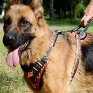 The Best Harness for German Shepherd UK "Flame"-Painted Design