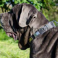 Blue Neapolitan Mastiff Dog Collar | Handmade Dog Collar