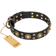 Studded Dog Collar "Baroque Chic" FDT Artisan