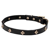 Diamonds Studded Dog Collar of Natural Leather, with Buckle