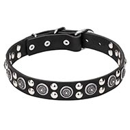 Classy Dog Collar with Chick Design and a Strong Metal Buckle