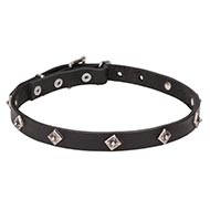 Diamond Studded, Elegant Thin Leather Dog Collar Design