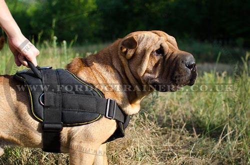 Nylon dog harness with handle