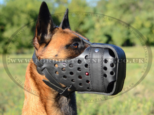 Closed Leather Dog Muzzle for K9 Dogs