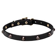 Fine Leather Dog Collar with Elegant Brass Cones