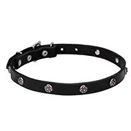 Studded Leather Dog Collar "Sparkling Beauty"