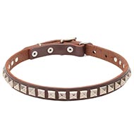 NEW! Pretty Dog Collar with Silver Studs