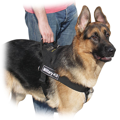 best no pull dog harness for german shepherd
