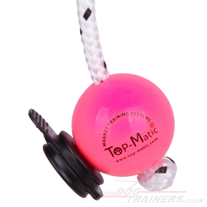 Soft Plastic Ball with Handle