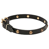 Graceful Leather Collars for Dogs