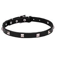 New 2024 Dog Fashion Collar for Small to Big Dogs and Puppies