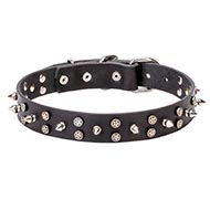 Designer Leather Dog Collar with Steel Stars and Spikes