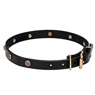 Genuine Leather Dog Collar with Brass Flowery Studs