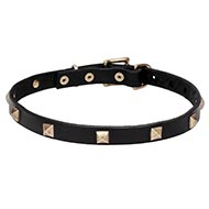 New Nice Dog Collar with Brass Pyramids and a Strong Buckle