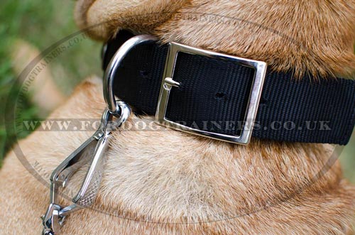 Nylon Dog Collar for Shar Pei Dogs