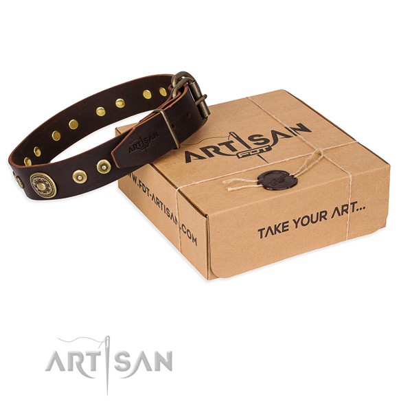 Luxury Dog Collar with a Gift Box