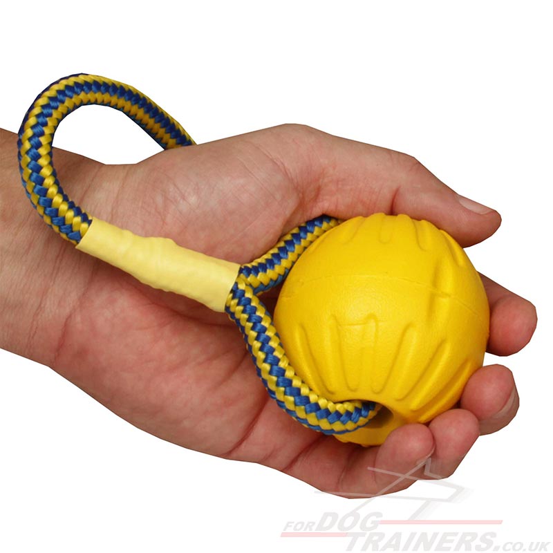 ball on rope toy