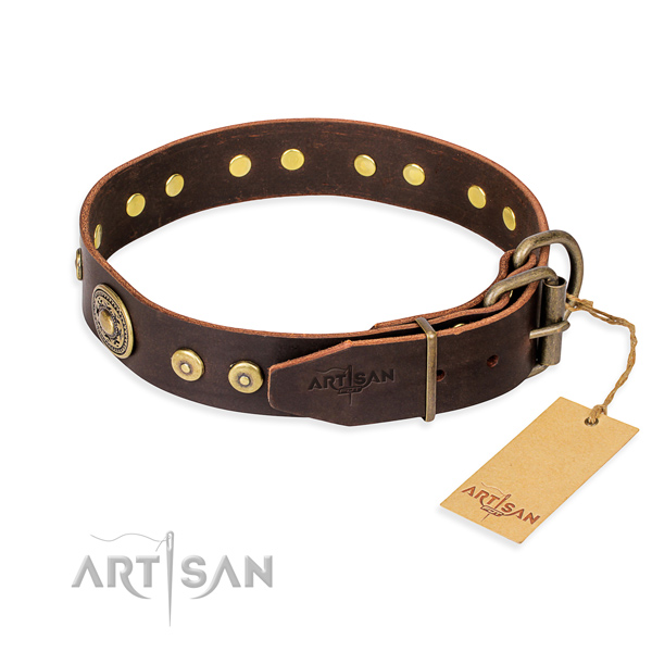 Brown Leather Dog Collar with Brass Buckle