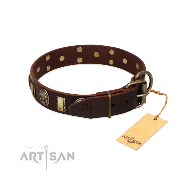 Brown Leather Dog Collar with Brass Hardware